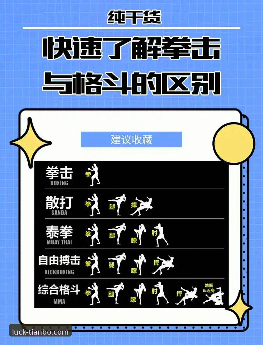 揭秘天博体育平台：APP使用教程背后的真相与实战技巧